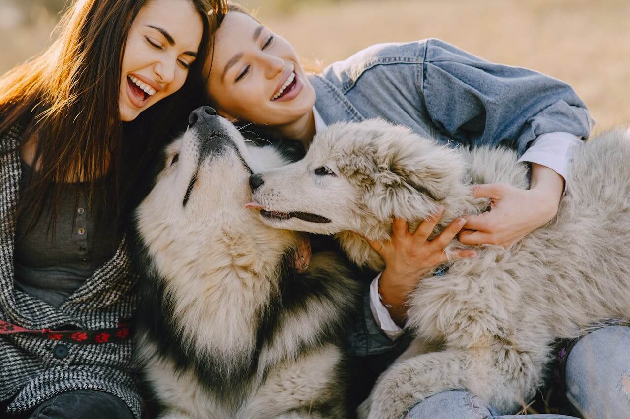 Two people sitting outdoors smiling and playing with two dogs.